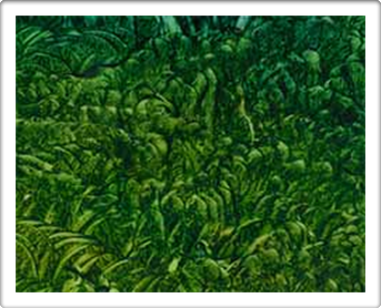 Galeria de Arte Art Gallery